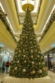 Weihnachtsbaum in der Altmarkt-Galerie