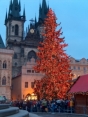 Weihnachtsbaum auf dem Altstädter Ring in Prag